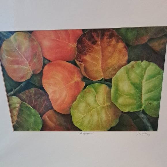 SEAGRAPES Art GICLEE Print - Picture 3 of 6